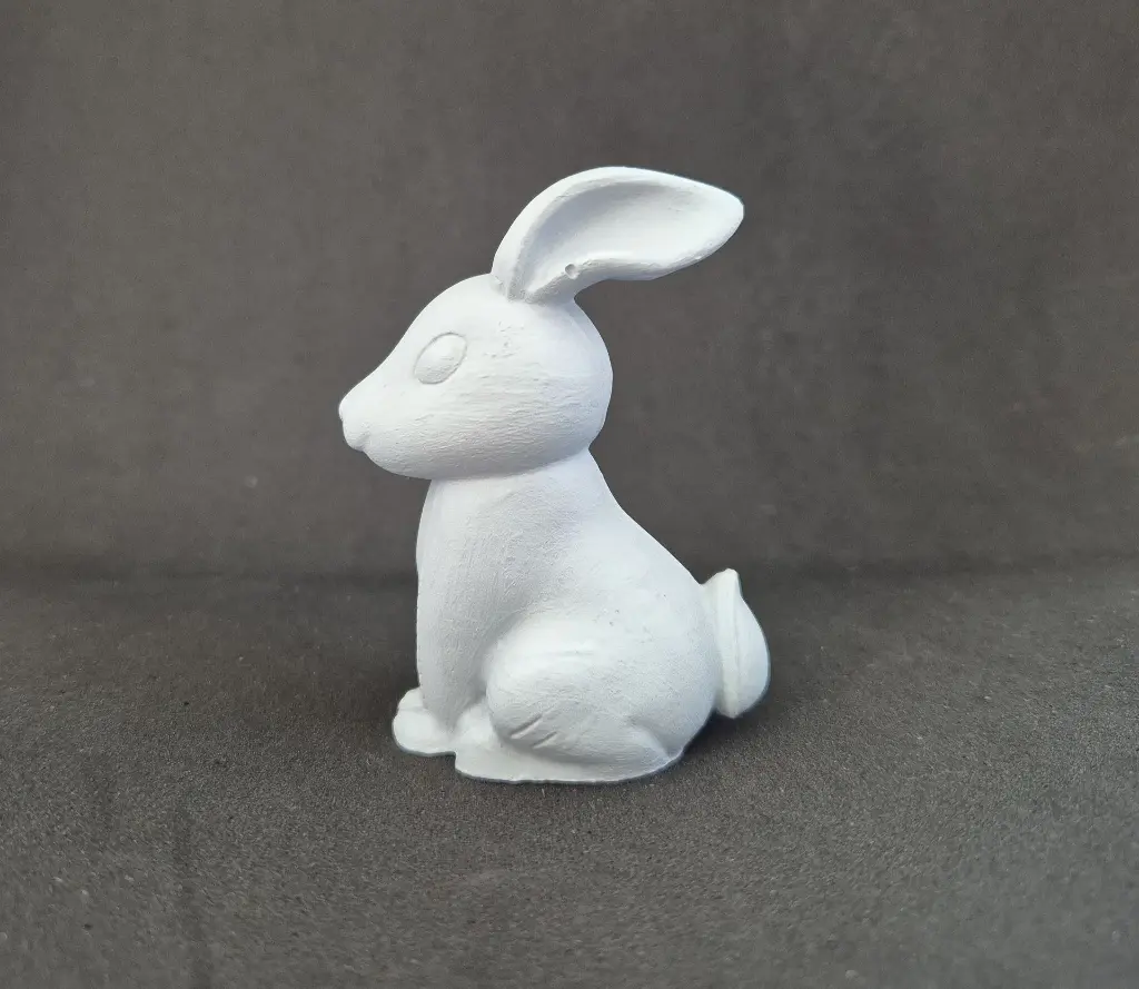 lapin3.webp