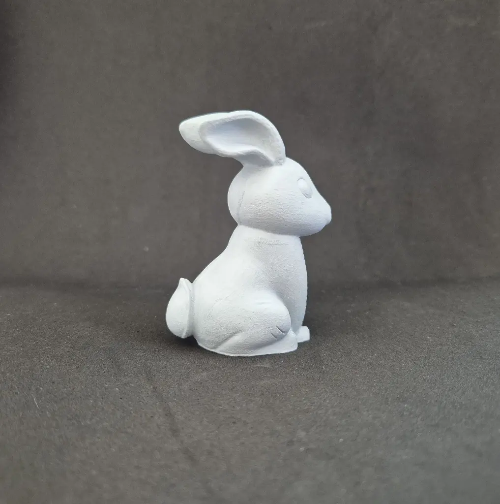 lapin6.webp