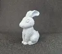 lapin2.webp