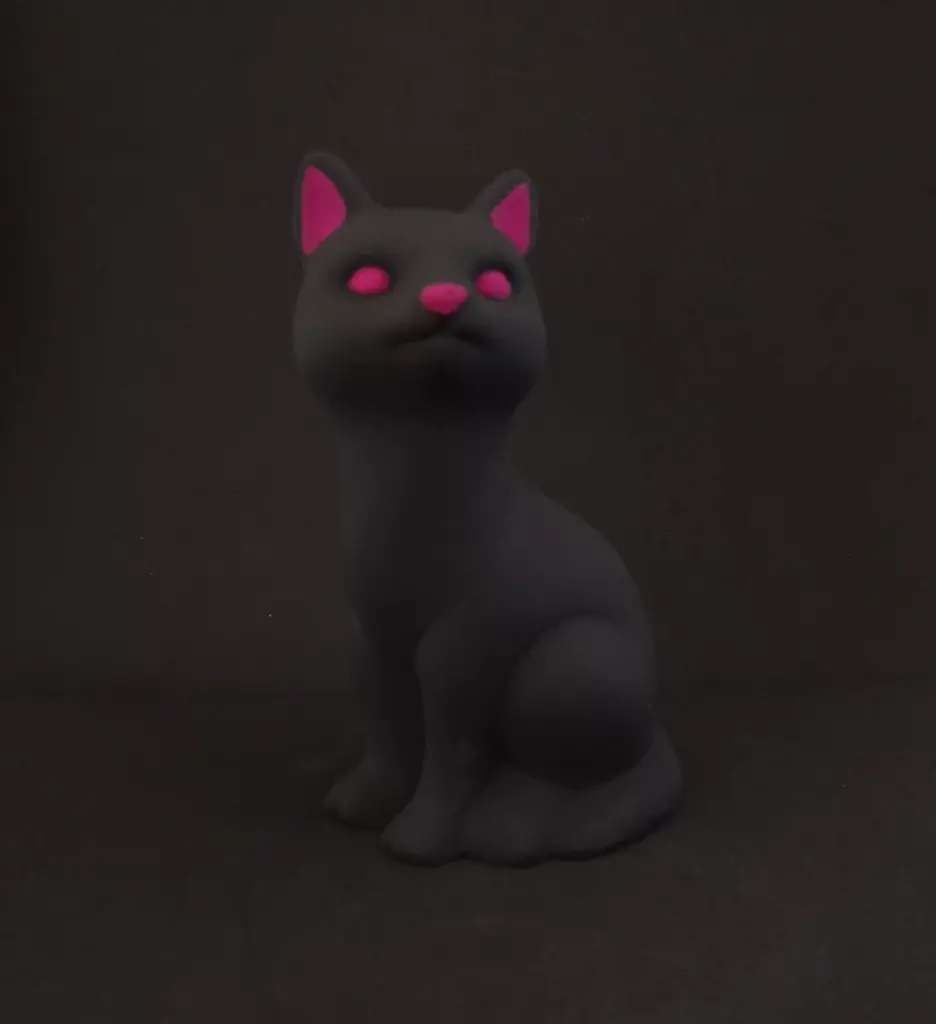 Chat fuschia 1.webp