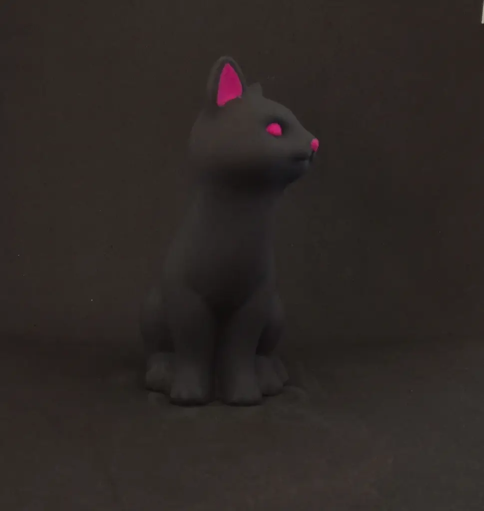 chat fuschia 3.webp