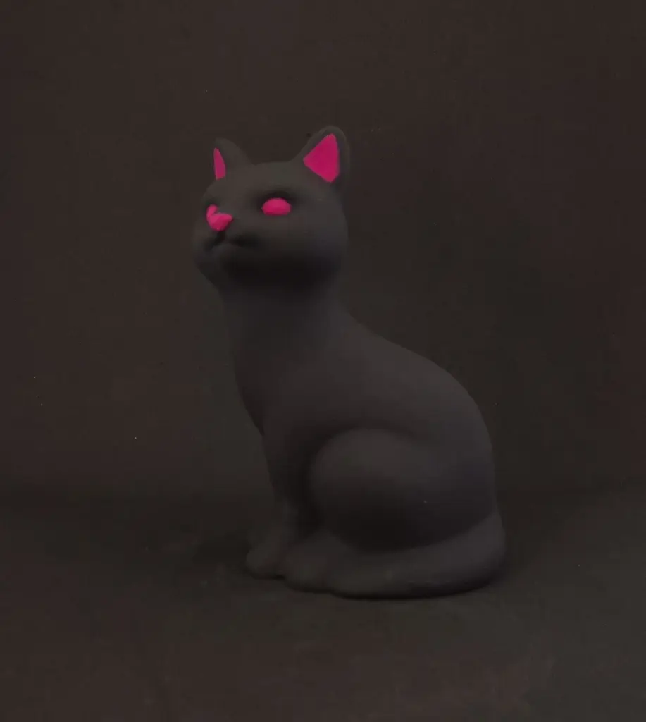 chat fuschia 6.webp