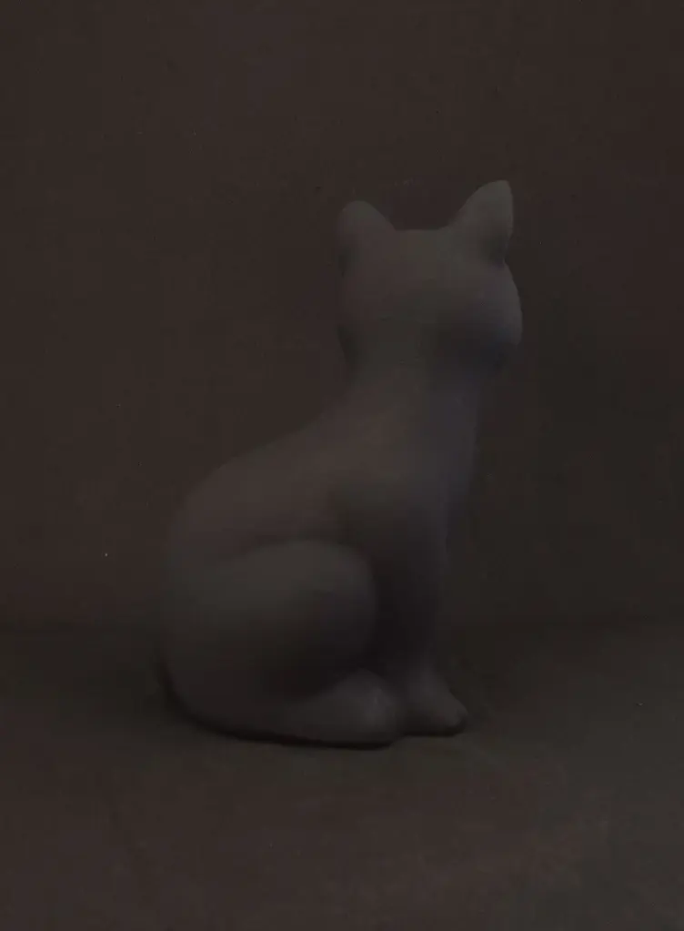 chat fuschia 4.webp
