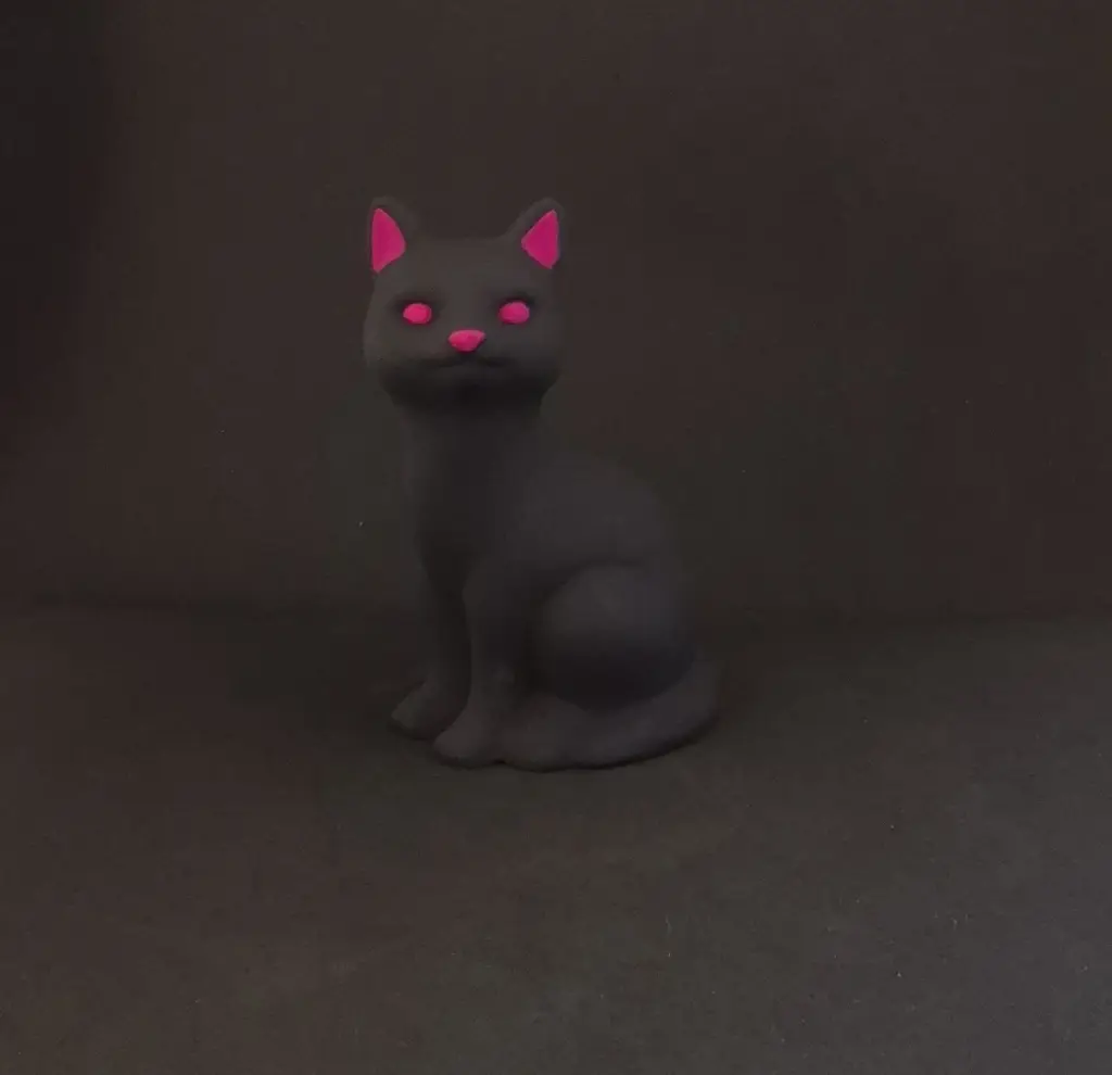 chat fuschia 2.webp