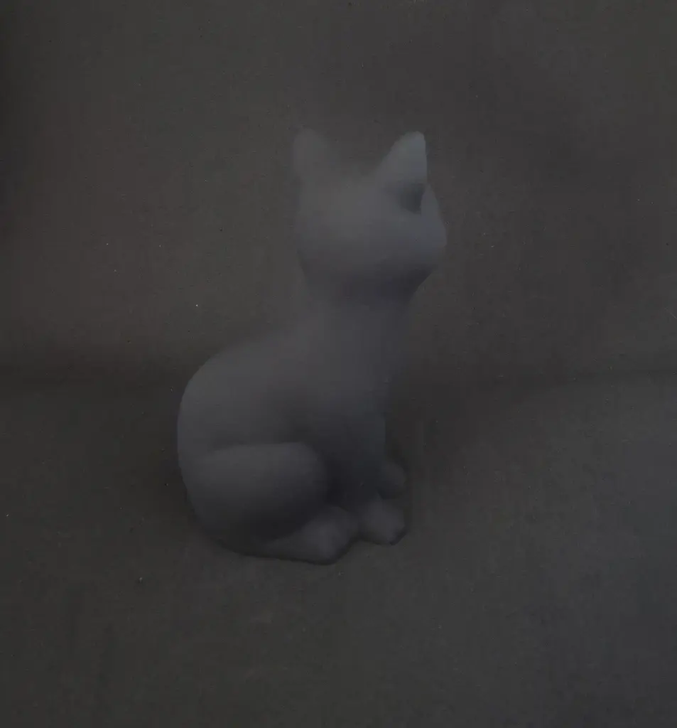 chat vert 3.webp