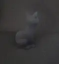 chat vert 3.webp