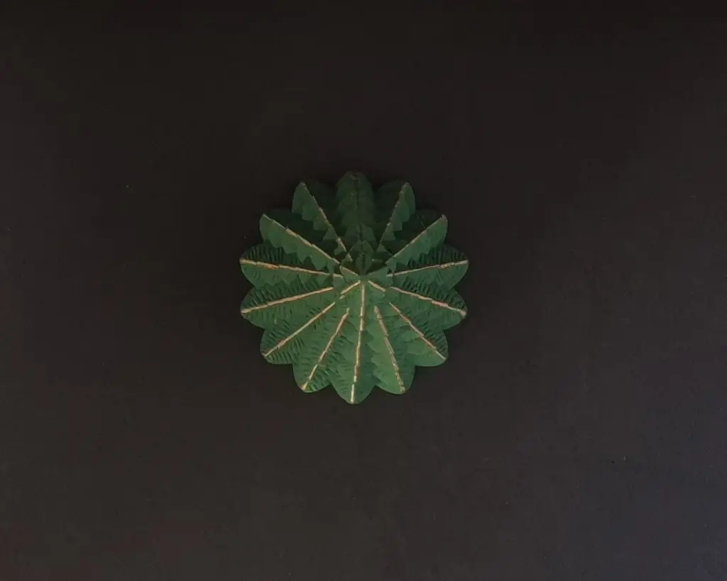 sapin 4.webp