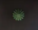 sapin 4.webp