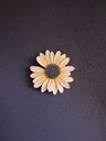 Tournesol