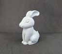 Lapin gris