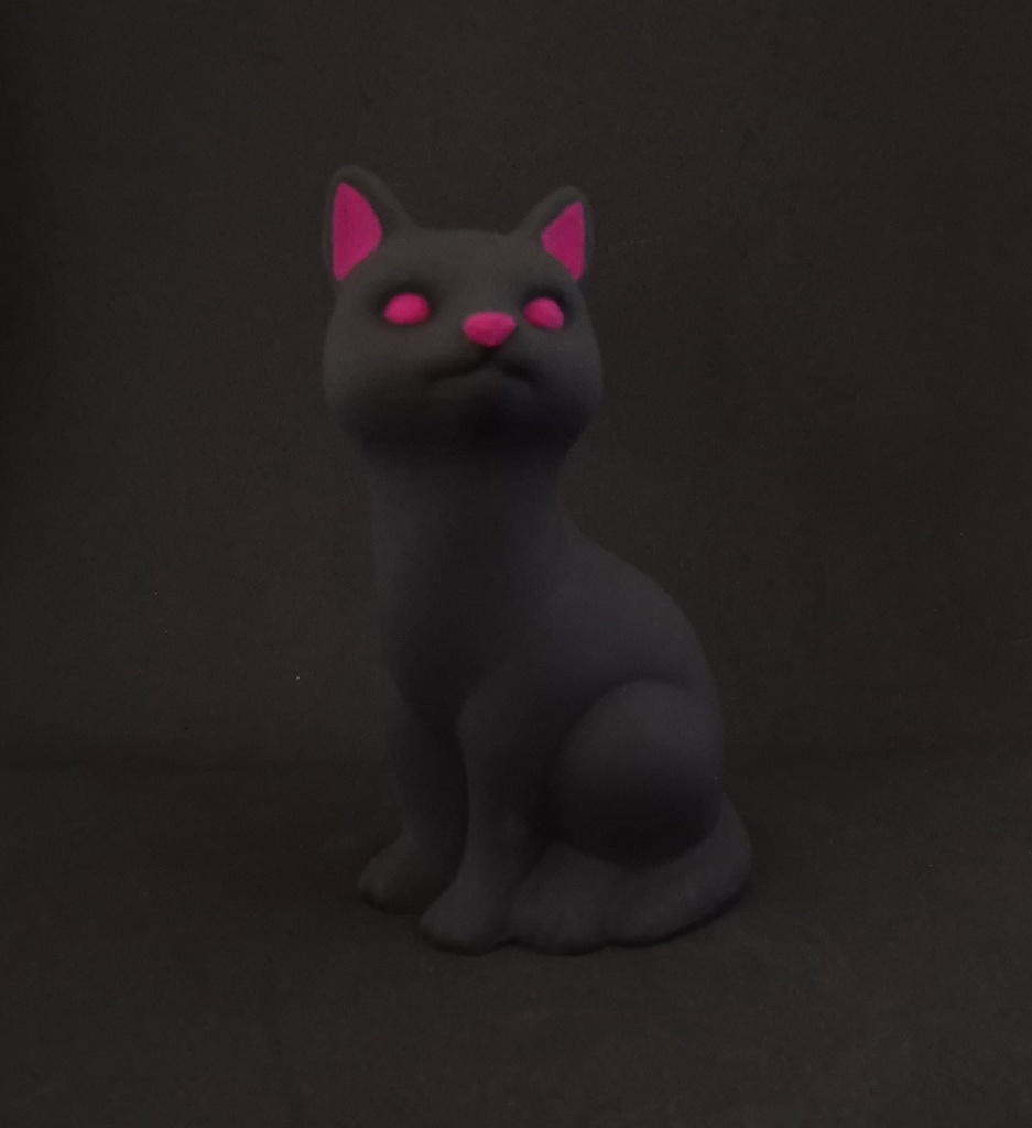 Chat yeux fushia