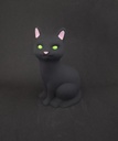 Chat yeux verts